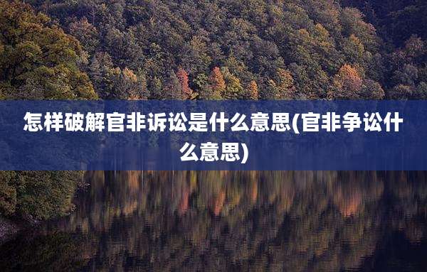 怎样破解官非诉讼是什么意思(官非争讼什么意思)
