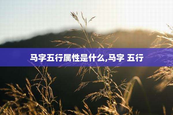 马字五行属性是什么,马字 五行