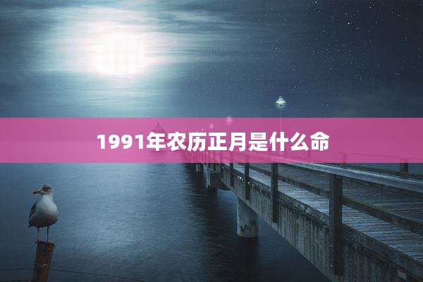 1991年农历正月是什么命
