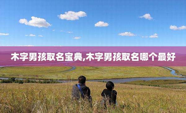 木字男孩取名宝典,木字男孩取名哪个最好