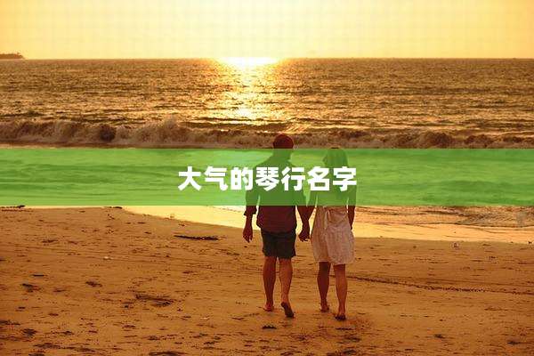 大气的琴行名字