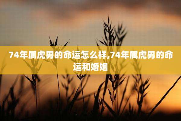 74年属虎男的命运怎么样,74年属虎男的命运和婚姻