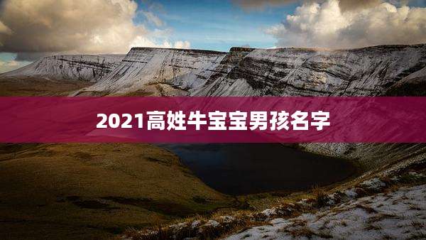 2021高姓牛宝宝男孩名字