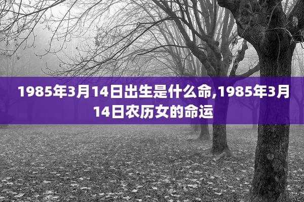 1985年3月14日出生是什么命,1985年3月14日农历女的命运