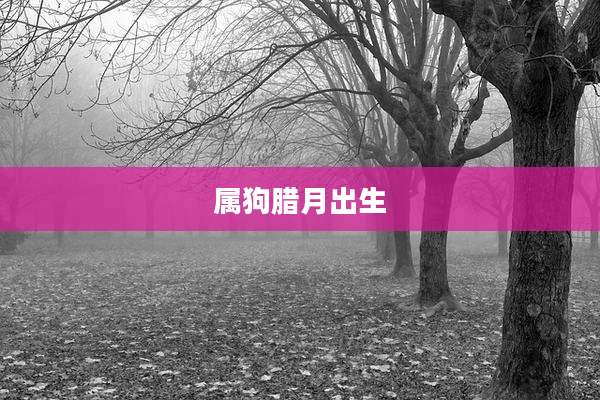 属狗腊月出生