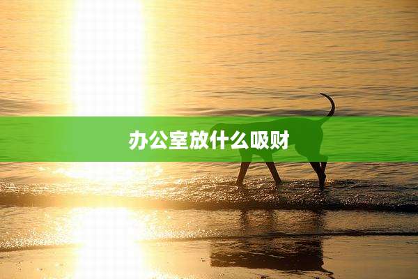办公室放什么吸财