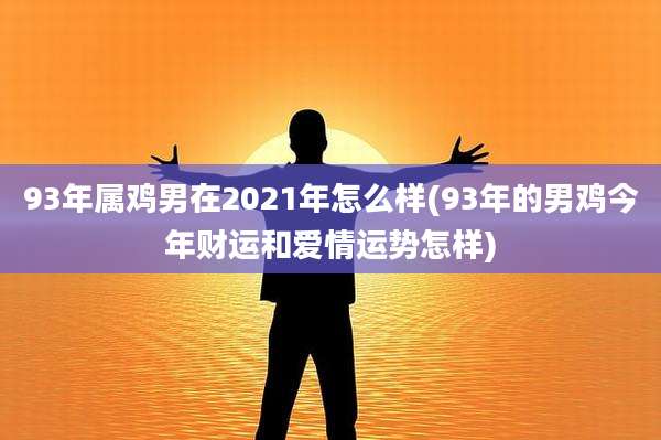 93年属鸡男在2021年怎么样(93年的男鸡今年财运和爱情运势怎样)