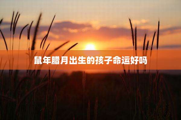 鼠年腊月出生的孩子命运好吗