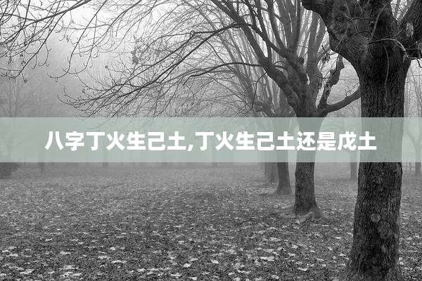 八字丁火生己土,丁火生己土还是戊土