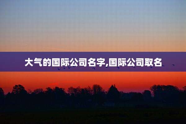 大气的国际公司名字,国际公司取名