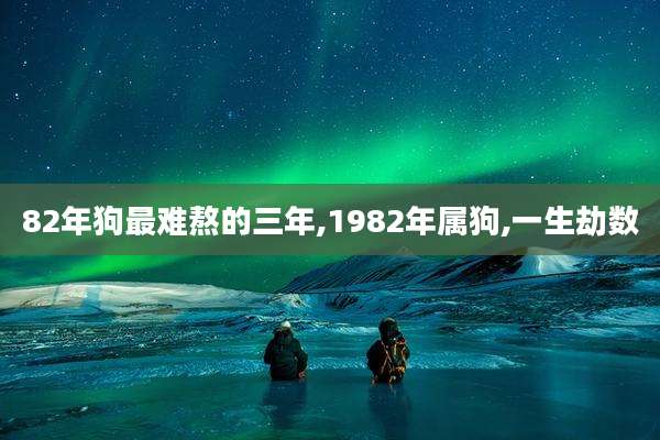82年狗最难熬的三年,1982年属狗,一生劫数