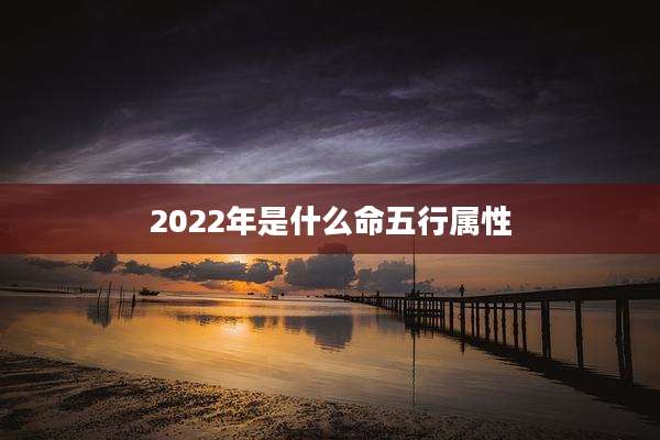 2022年是什么命五行属性