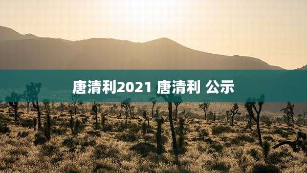 唐清利2021 唐清利 公示