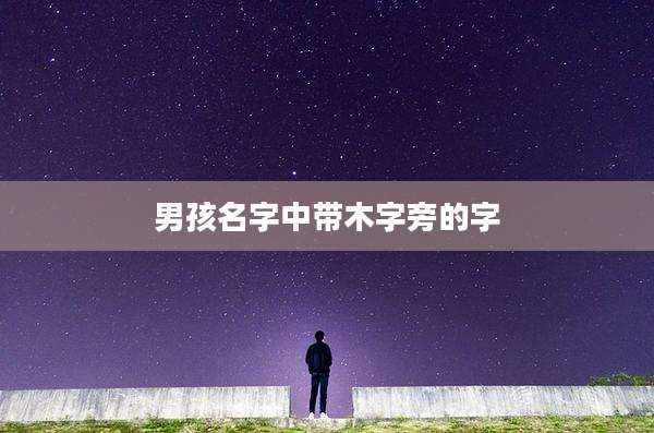 男孩名字中带木字旁的字