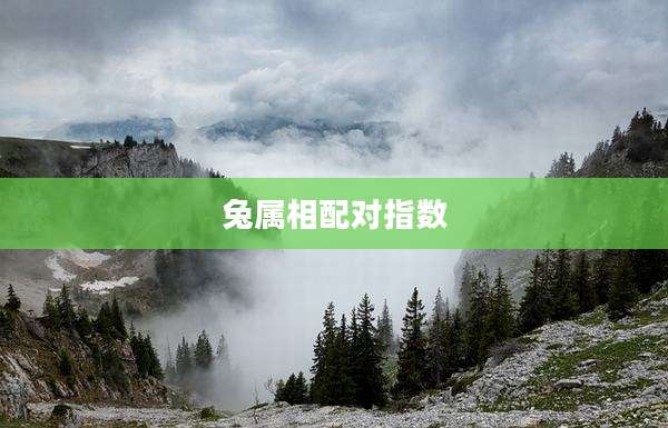 兔属相配对指数