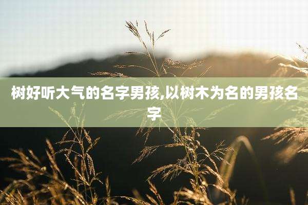 树好听大气的名字男孩,以树木为名的男孩名字