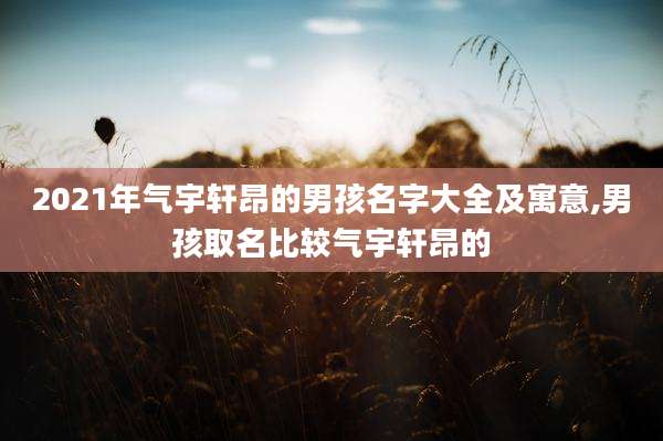 2021年气宇轩昂的男孩名字大全及寓意,男孩取名比较气宇轩昂的