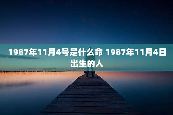 1987年11月4号是什么命 1987年11月4日出生的人