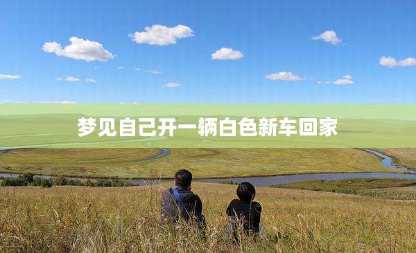 梦见自己开一辆白色新车回家