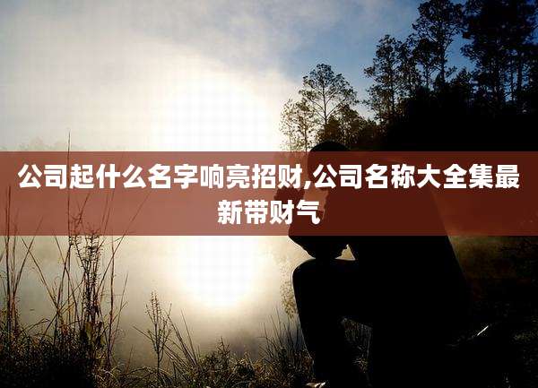 公司起什么名字响亮招财,公司名称大全集最新带财气