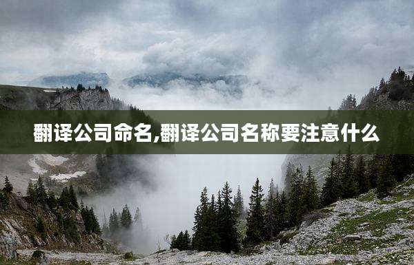 翻译公司命名,翻译公司名称要注意什么