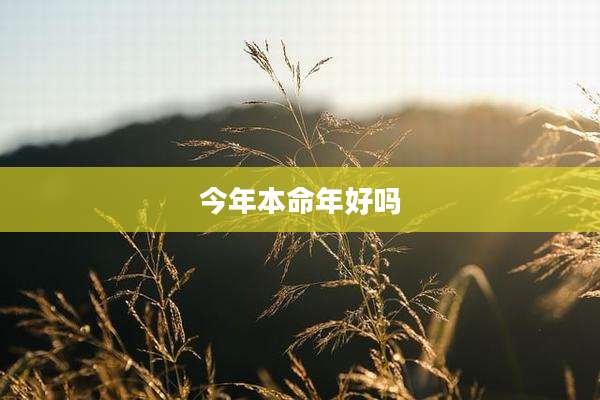 今年本命年好吗