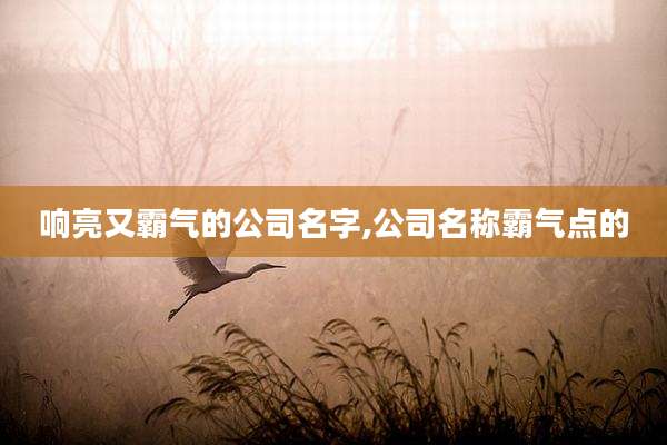 响亮又霸气的公司名字,公司名称霸气点的