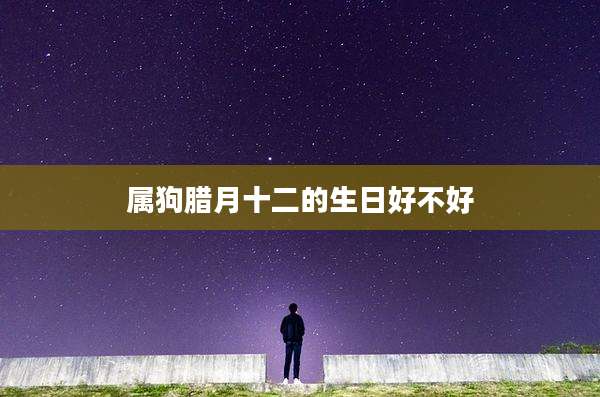 属狗腊月十二的生日好不好