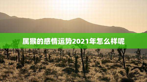 属猴的感情运势2021年怎么样呢