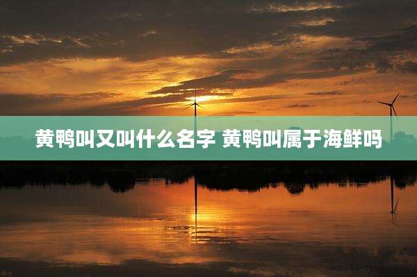 黄鸭叫又叫什么名字 黄鸭叫属于海鲜吗