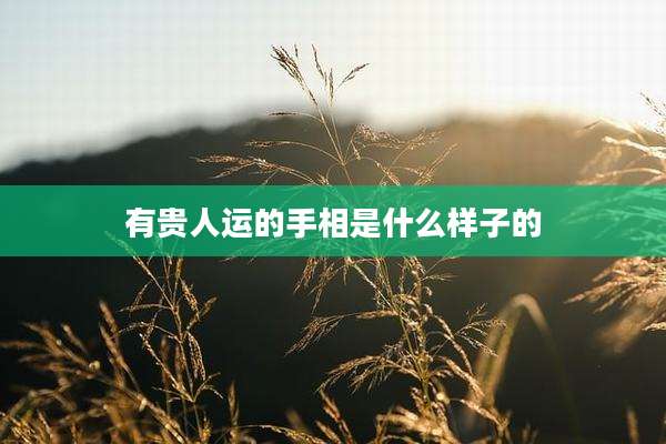 有贵人运的手相是什么样子的