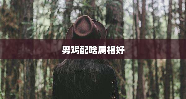 男鸡配啥属相好