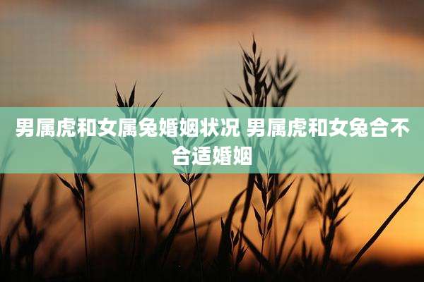 男属虎和女属兔婚姻状况 男属虎和女兔合不合适婚姻