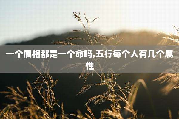 一个属相都是一个命吗,五行每个人有几个属性