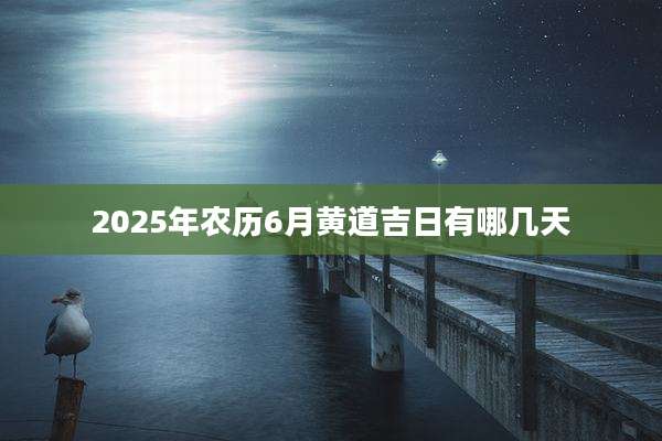 2025年农历6月黄道吉日有哪几天