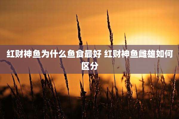 红财神鱼为什么鱼食最好 红财神鱼雌雄如何区分