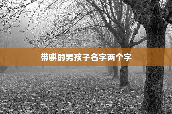 带骐的男孩子名字两个字