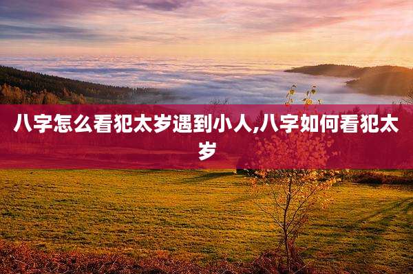 八字怎么看犯太岁遇到小人,八字如何看犯太岁
