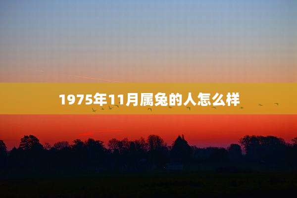 1975年11月属兔的人怎么样