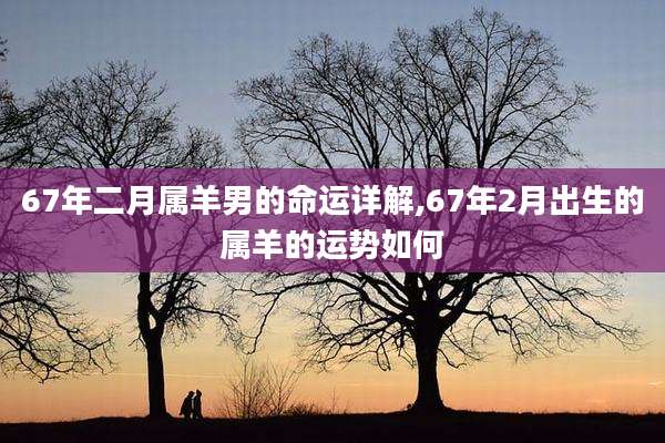 67年二月属羊男的命运详解,67年2月出生的属羊的运势如何