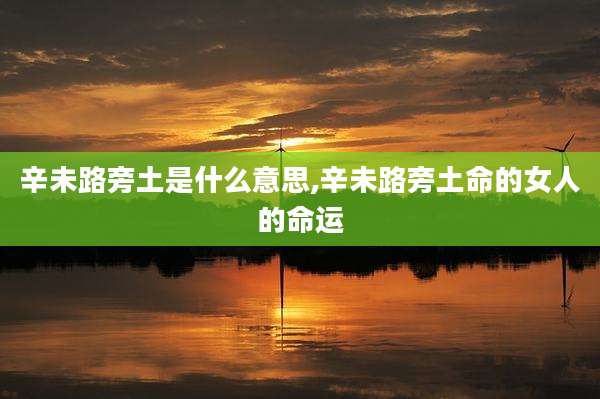 辛未路旁土是什么意思,辛未路旁土命的女人的命运