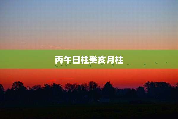 丙午日柱癸亥月柱