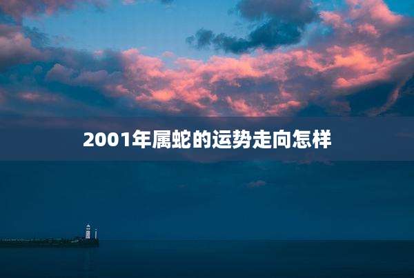 2001年属蛇的运势走向怎样