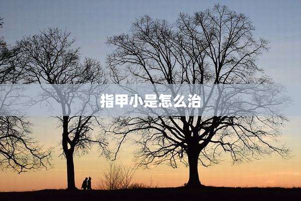指甲小是怎么治
