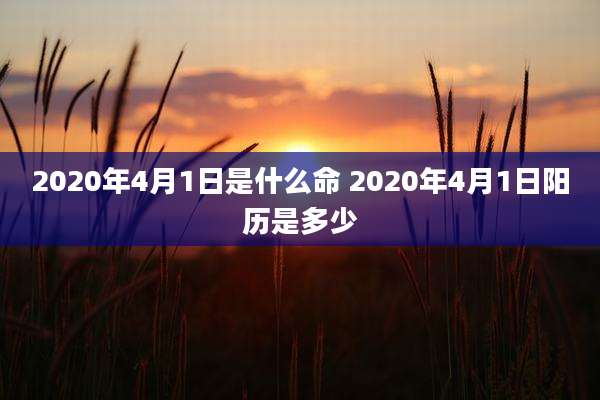 2020年4月1日是什么命 2020年4月1日阳历是多少