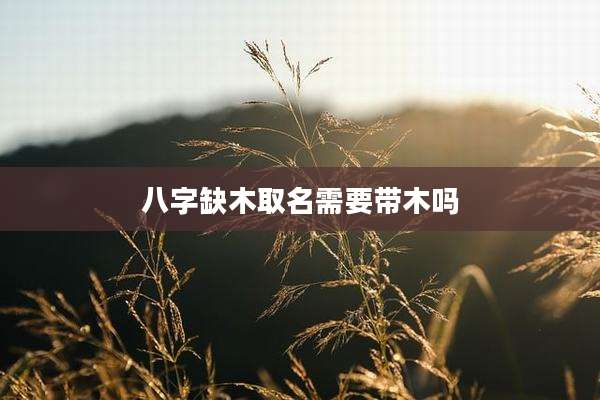 八字缺木取名需要带木吗