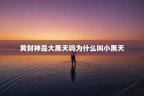 黄财神是大黑天吗为什么叫小黑天