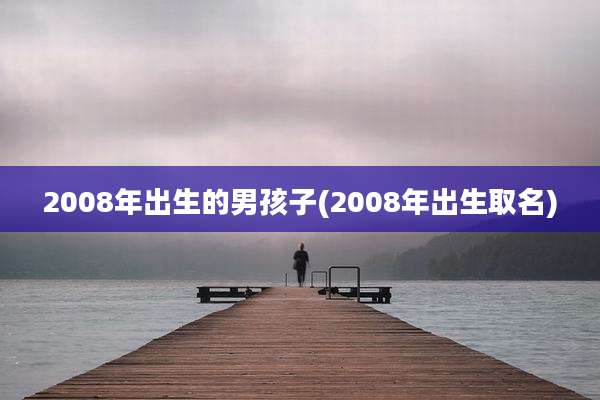 2008年出生的男孩子(2008年出生取名)