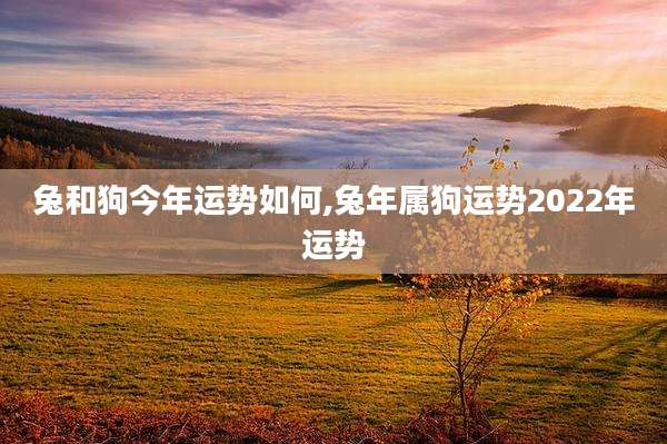 兔和狗今年运势如何,兔年属狗运势2022年运势