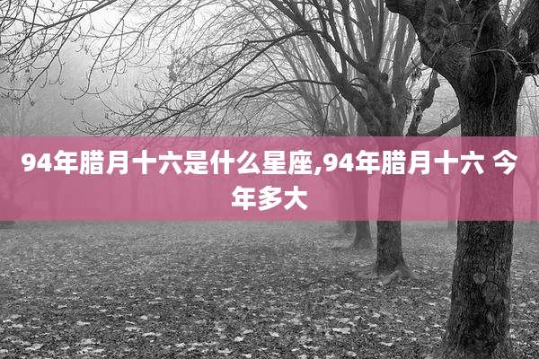 94年腊月十六是什么星座,94年腊月十六 今年多大
